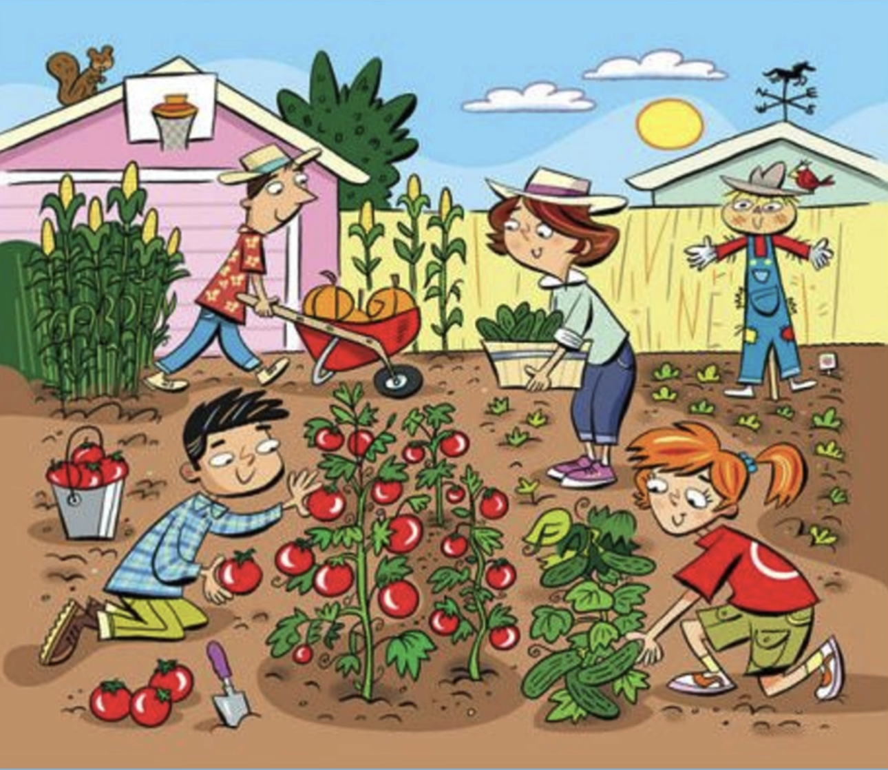 In the vegetable garden